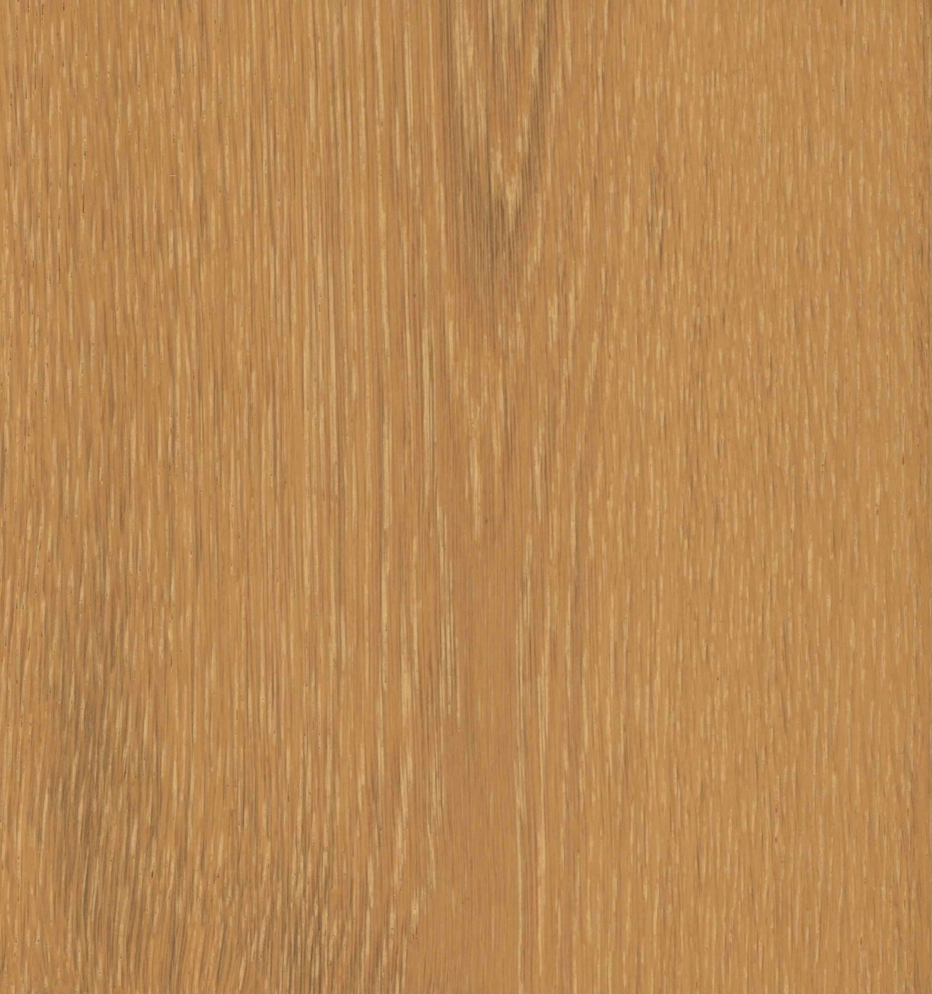 Hamptons Dusty Cloud engineered timber flooring board, soft light taupe with a gentle grey-beige wash