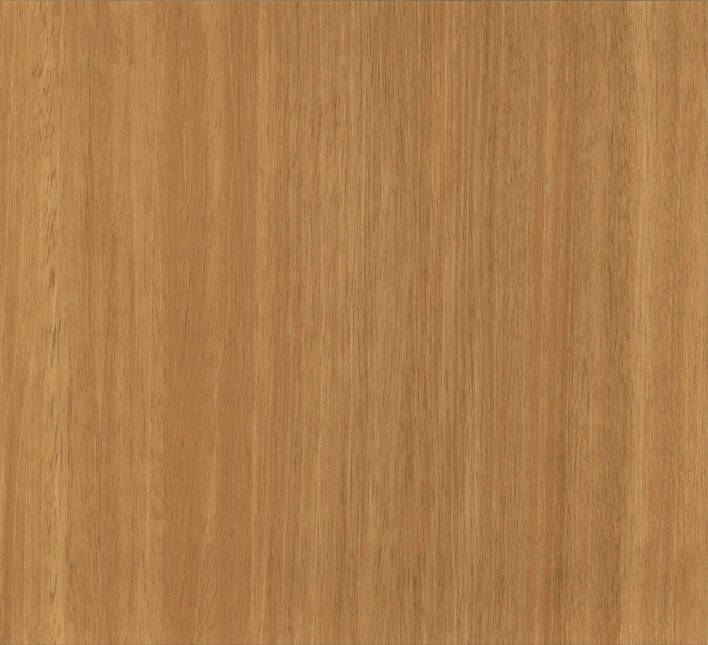 Blackbutt HD spc hybrid vinyl plank flooring board, warm honey-brown with realistic, high-definition grain