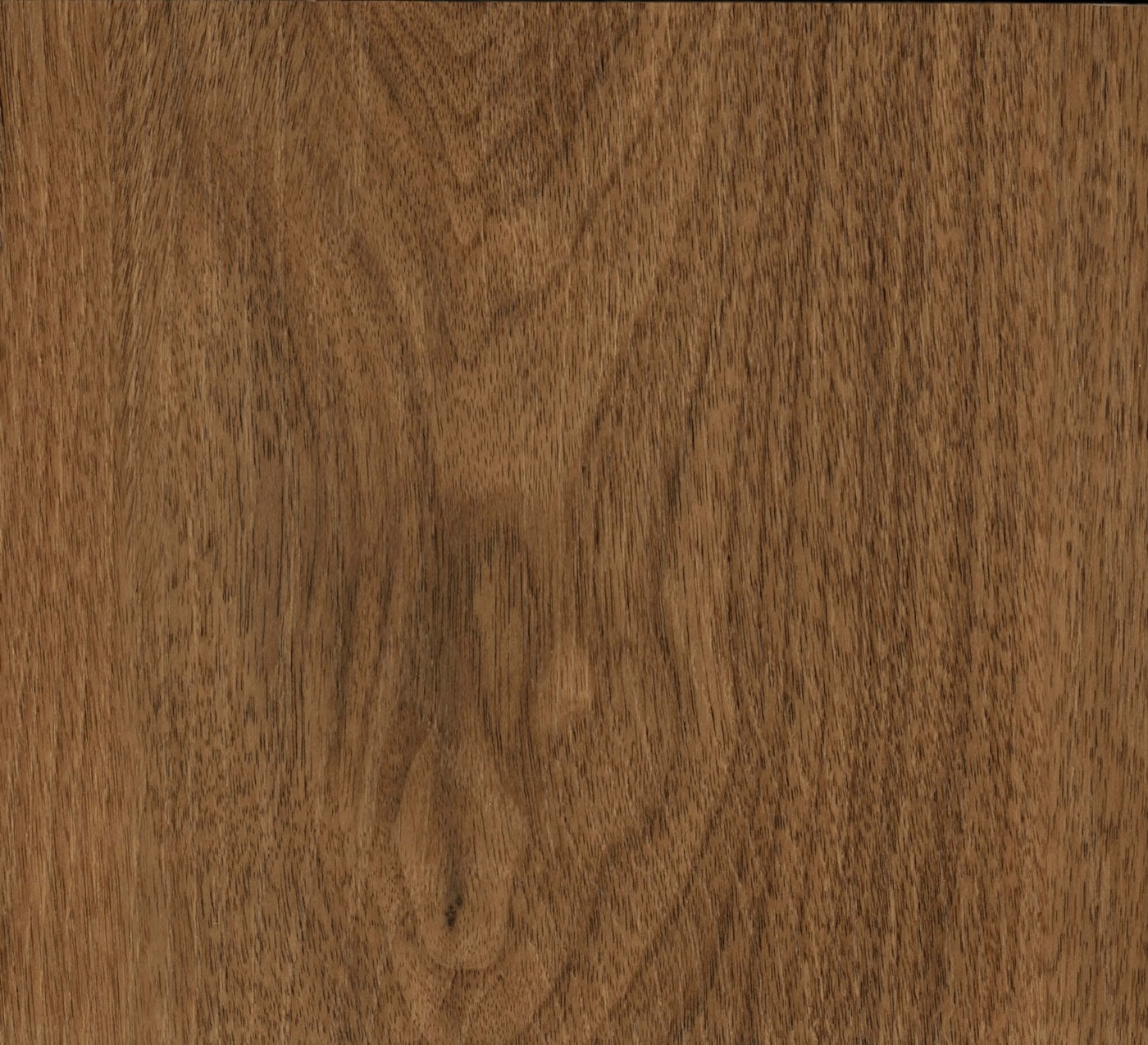 Hickory spc hybrid vinyl plank flooring board, rich walnut-brown with a defined, darker grain