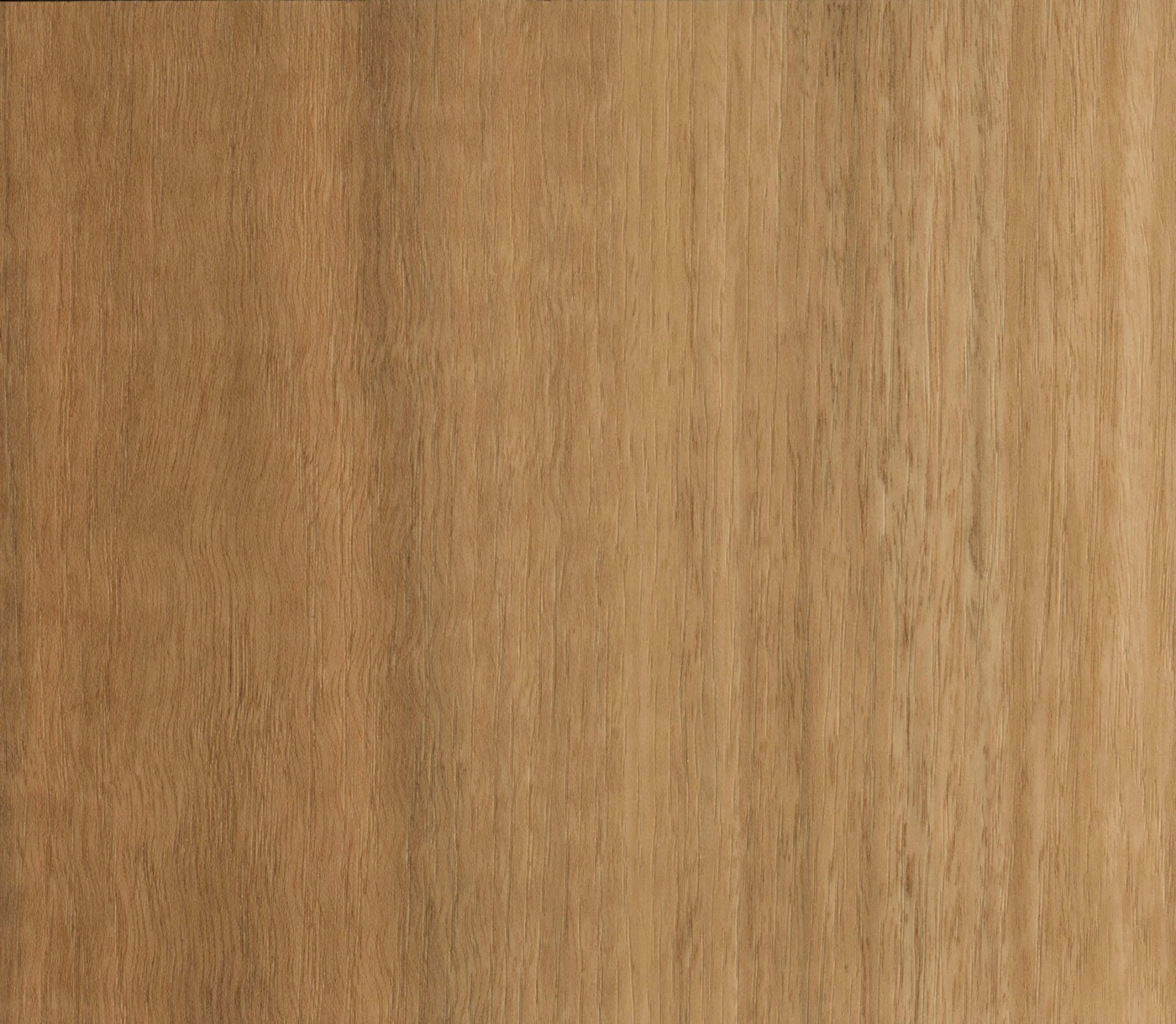 Spotted Gum spc hybrid vinyl plank flooring board, mid-brown with golden warmth and rich variation