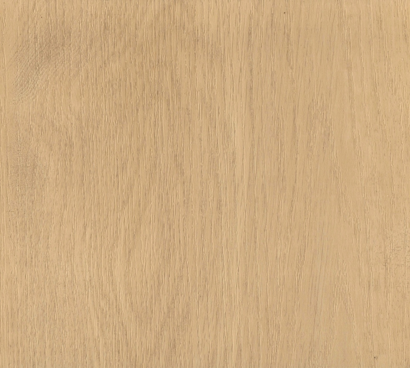 Whitewashed spc hybrid vinyl plank flooring board, light, washed pale oak look