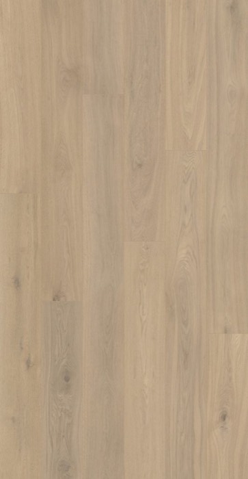 European Beech board swatch