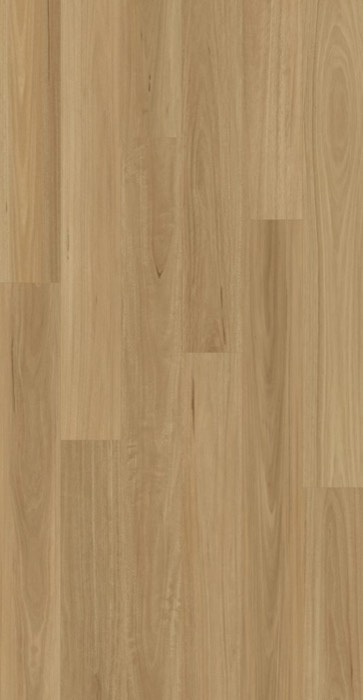 Blackbutt HD MFB flooring plank layout