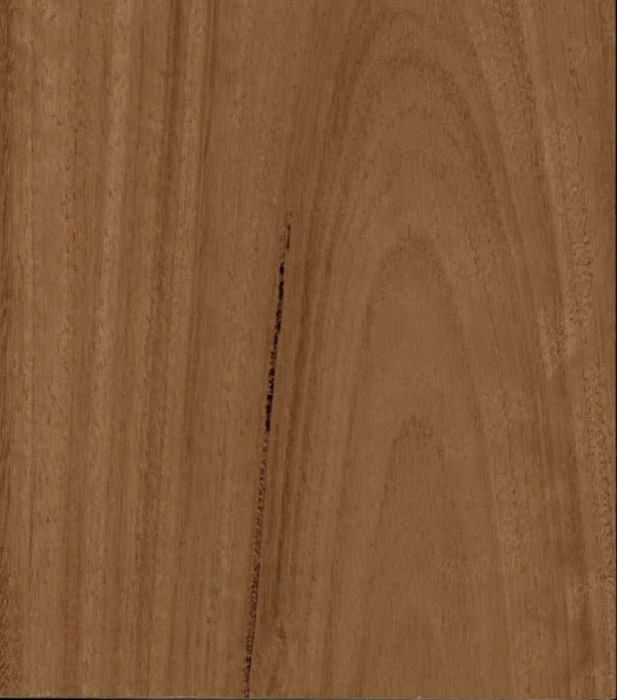 Blackbutt Australian Hardwood flooring board, in stock at Harmony Timber Floors Burleigh Heads