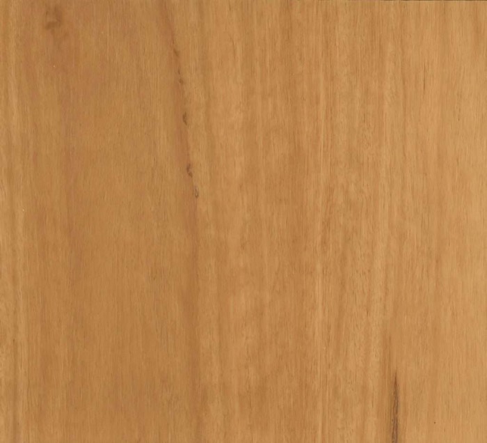 Blackbutt hybrid vinyl plank flooring board